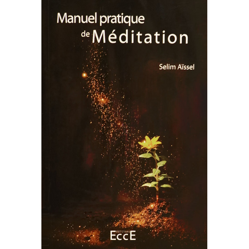Manuel Pratique de Méditation
